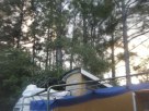 Camper Top in the Pines Timbers of Florida